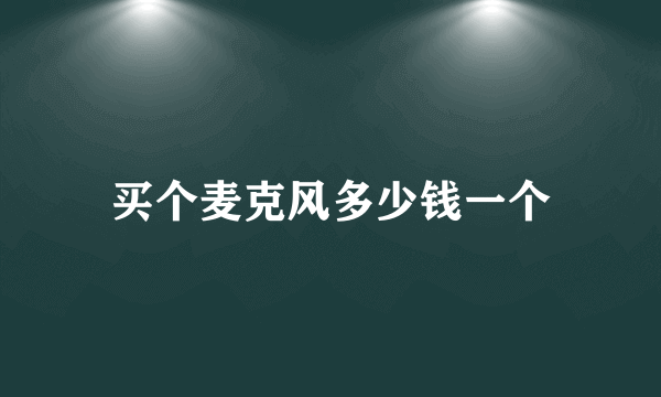 买个麦克风多少钱一个