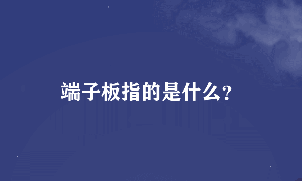 端子板指的是什么？