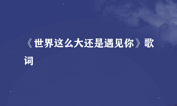 《世界这么大还是遇见你》歌词