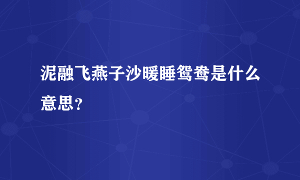 泥融飞燕子沙暖睡鸳鸯是什么意思？