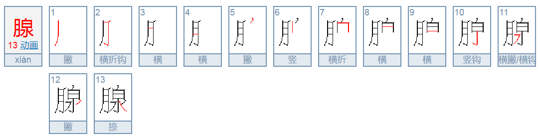 腺的拼音是什么