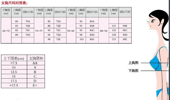 内衣尺寸参照表