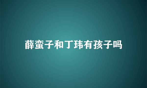 薛蛮子和丁玮有孩子吗