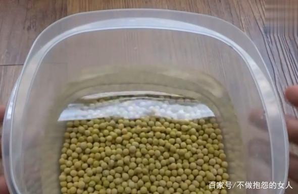 黄豆怎么发豆芽的步骤