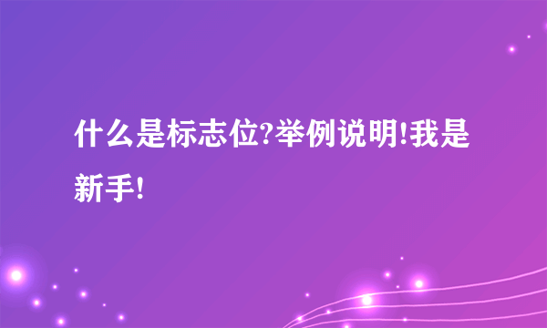 什么是标志位?举例说明!我是新手!