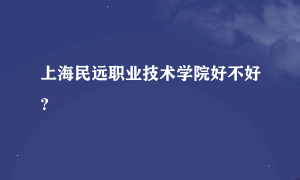 上海民远职业技术学院好不好？