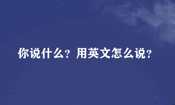 你说什么？用英文怎么说？