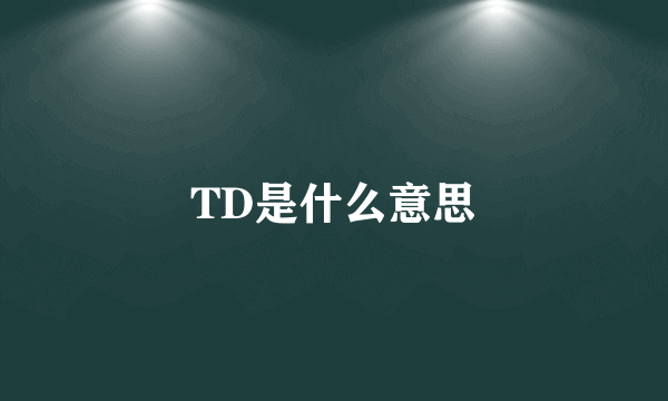 TD是什么意思