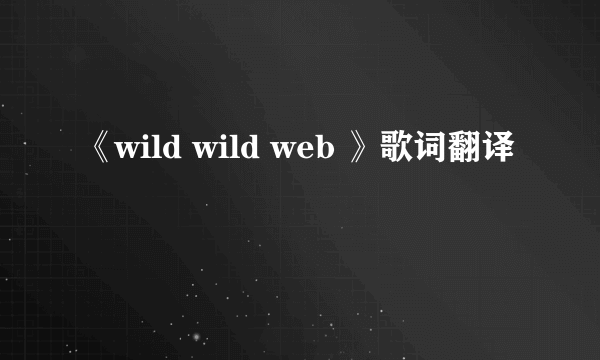 《wild wild web 》歌词翻译