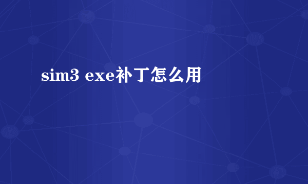 sim3 exe补丁怎么用