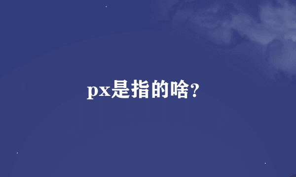 px是指的啥？