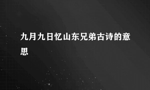 九月九日忆山东兄弟古诗的意思