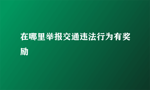 在哪里举报交通违法行为有奖励