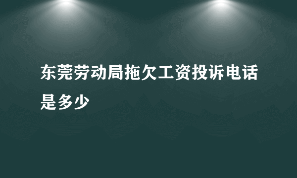 东莞劳动局拖欠工资投诉电话是多少