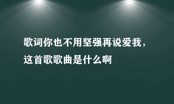 歌词你也不用坚强再说爱我，这首歌歌曲是什么啊