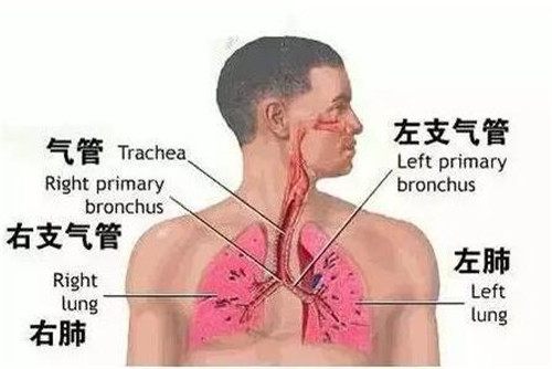 地暖取暖原理是什么？