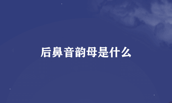 后鼻音韵母是什么