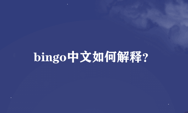 bingo中文如何解释？