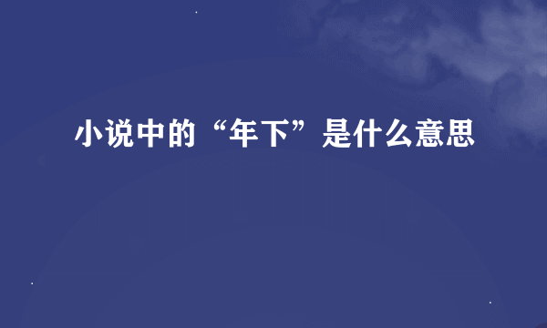 小说中的“年下”是什么意思