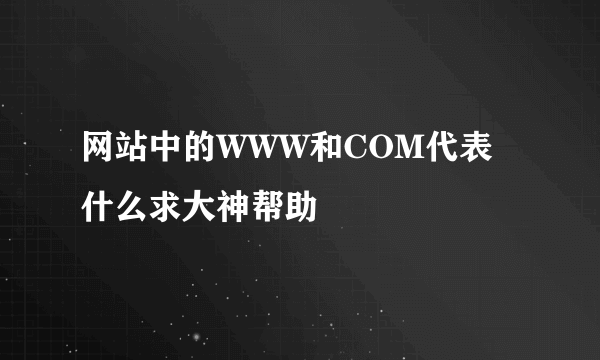 网站中的WWW和COM代表什么求大神帮助