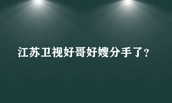 江苏卫视好哥好嫂分手了？