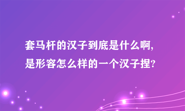 套马杆的汉子到底是什么啊,是形容怎么样的一个汉子捏?