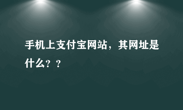 手机上支付宝网站，其网址是什么？？