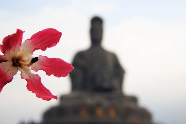 一花一世界,一叶一菩提全诗是什么？