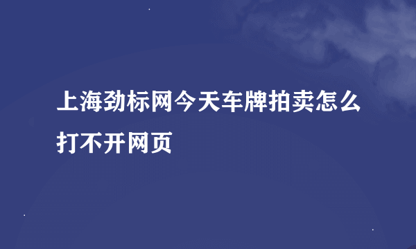 上海劲标网今天车牌拍卖怎么打不开网页