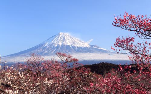 富士山几合目分别是?