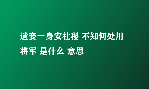 遣妾一身安社稷 不知何处用将军 是什么 意思