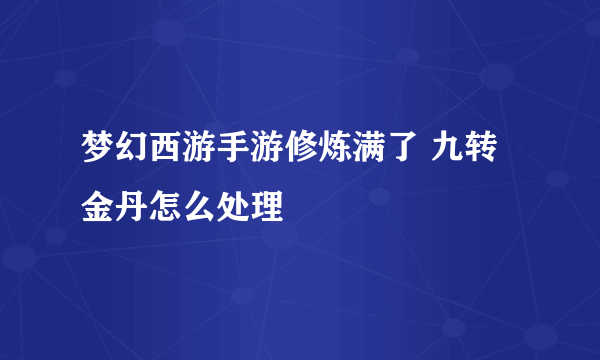 梦幻西游手游修炼满了 九转金丹怎么处理