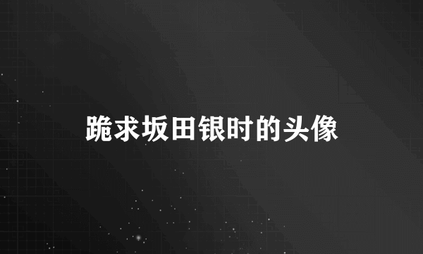 跪求坂田银时的头像