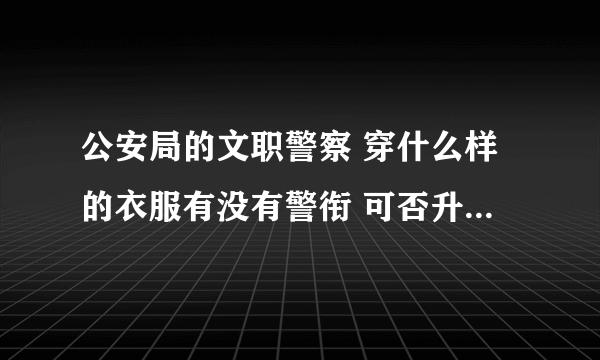 公安局的文职警察 穿什么样的衣服有没有警衔 可否升级警衔 如果我现在是文职要考正式警察需要同过什么流程