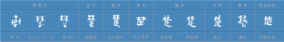 楚字部首是什么