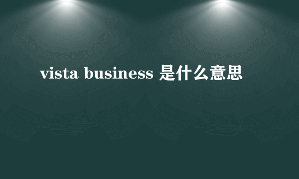 vista business 是什么意思