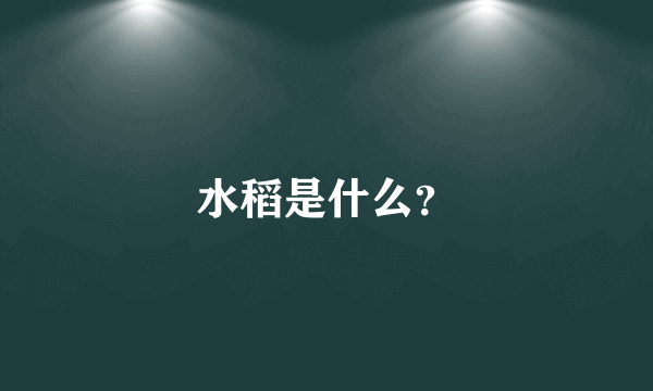 水稻是什么？