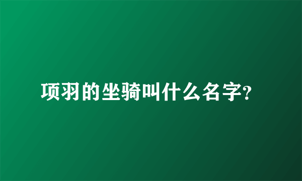 项羽的坐骑叫什么名字？