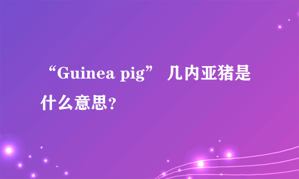 “Guinea pig” 几内亚猪是什么意思？