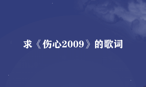 求《伤心2009》的歌词