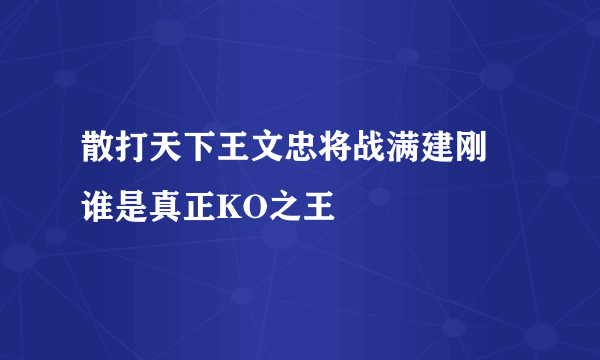 散打天下王文忠将战满建刚 谁是真正KO之王