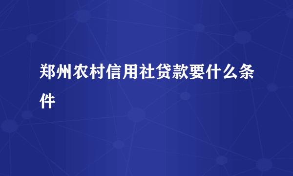 郑州农村信用社贷款要什么条件