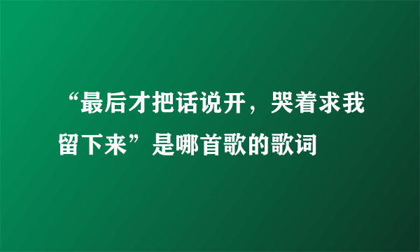 “最后才把话说开，哭着求我留下来”是哪首歌的歌词