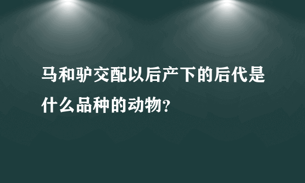 马和驴交配以后产下的后代是什么品种的动物？