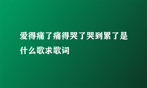 爱得痛了痛得哭了哭到累了是什么歌求歌词