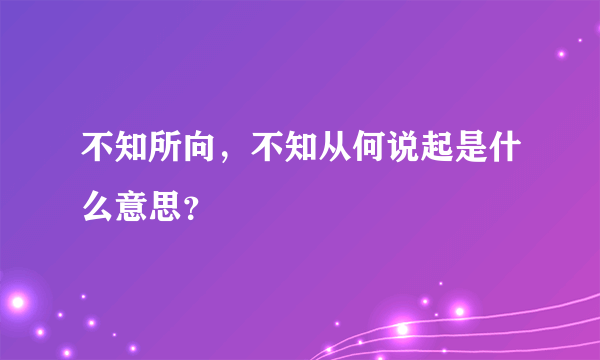 不知所向，不知从何说起是什么意思？