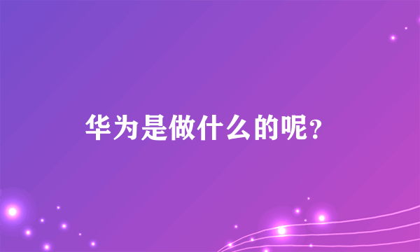 华为是做什么的呢？