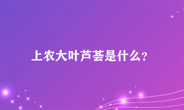 上农大叶芦荟是什么？