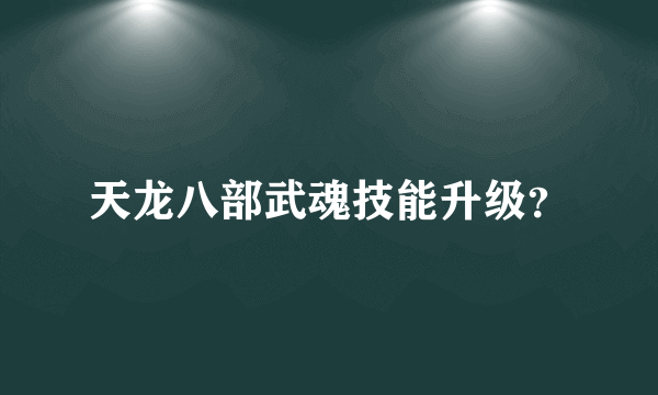 天龙八部武魂技能升级？