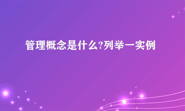 管理概念是什么?列举一实例